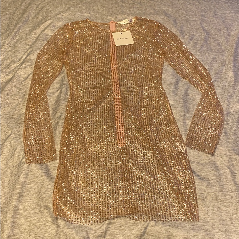 The Naked Tiger IGGY DRESS Long Sleeve Sheer Sz XS Light Pink NWT